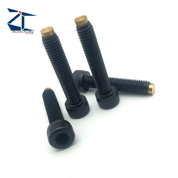 Internal hexagonal stop screw bolt type CBCP8-20 fixed buffer action bolt