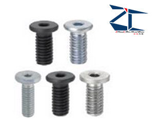 Ultra-bookheaded inner hexagonal bolt short head screw with very low head screw alternative CBSM4-5