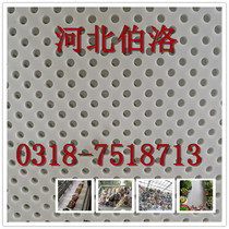 Round hole square hole long round hole plastic screen plastic flower frame balcony anti-theft window pad PP filter screen 3mm5mm hole