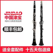 Hạ B-key 17 phím treble clarinet Ống đen Dụng cụ gió gỗ phương Tây