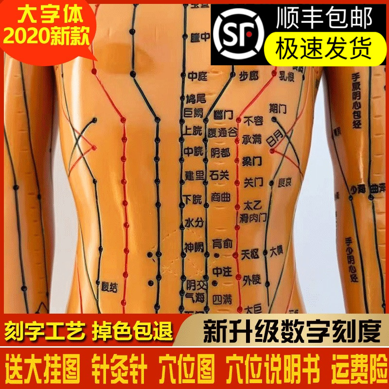 Acupuncture-Moxibustion Apparatus Bag Surgery Tool Medical Students Practice Medical Clear-Wound Suit Needle Holder Line Skin Model Model