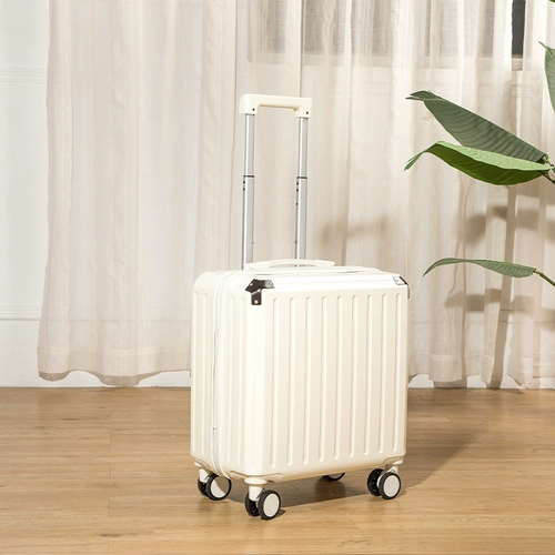 Чемодан, прочный самолет