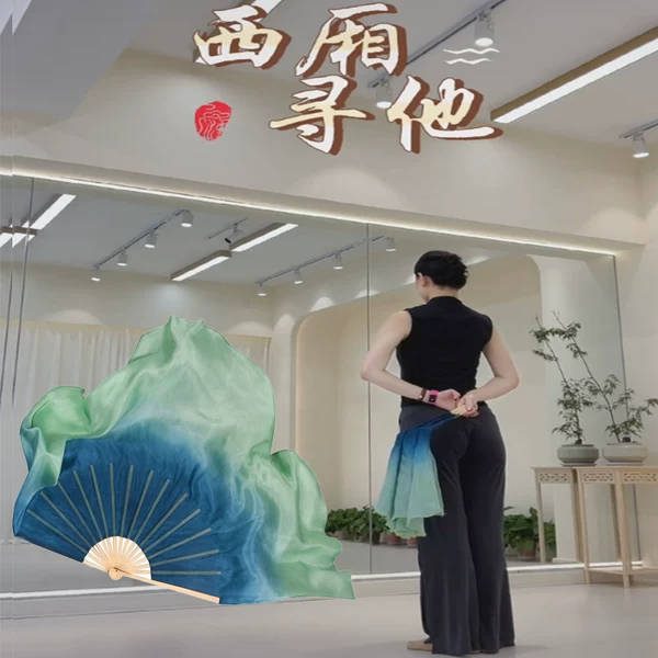 Товары от 烟花扇月舞蹈用品厂