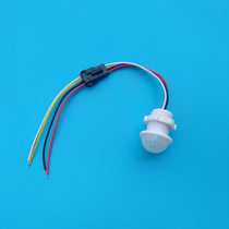 Infrared sensor Small 12V dry contact human body sensor switch for hotel 24V human body sensor probe
