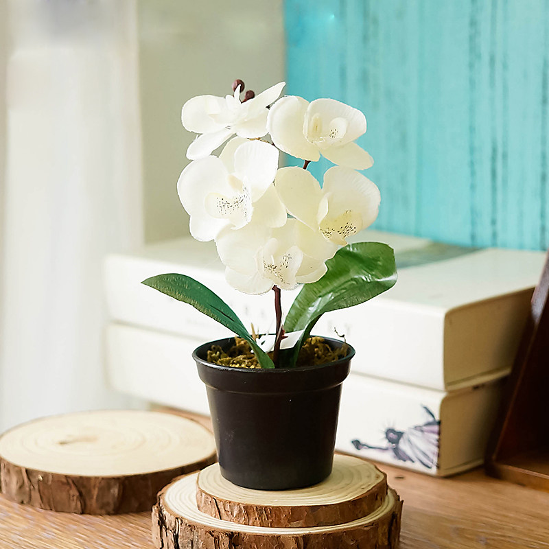 Small Fresh Mini White Phalaenopsis Simulation Potted Fake Flowers Simulation Flower Dining Table Coffee Table Fake Flower Decorations - Taobao