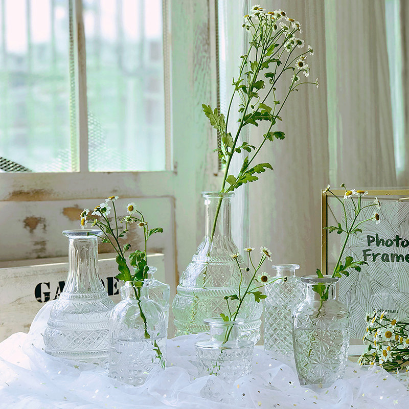 Pastoral small-caliber transparent glass vase water culture flower arrangement simple modern creative home desktop trumpet flower device