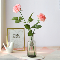 Nordic rose raindrop bubble small glass vase thickened color flower simple creative desktop simulation flower insert