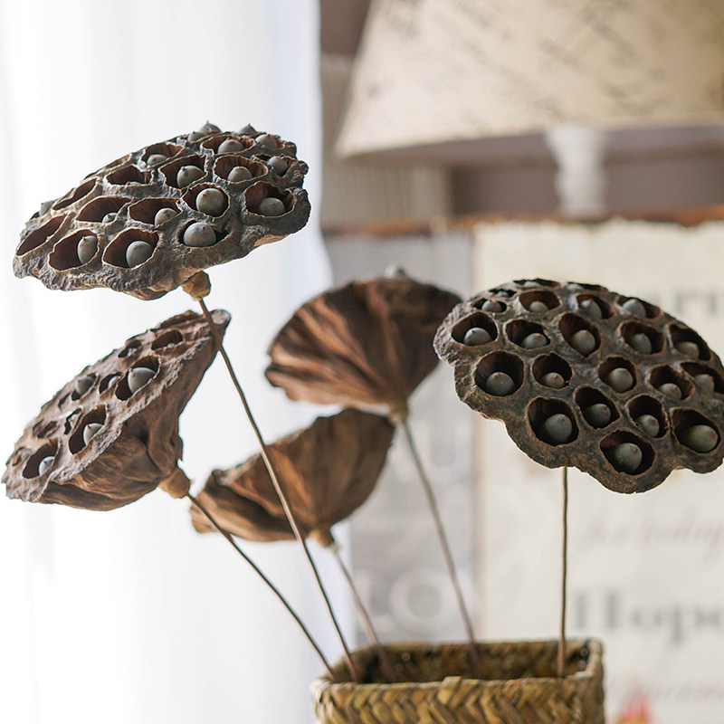 Countryside Wind large number with seed Qianlian fluffy natural dry flower dried fruit family Curator Dried Lotus Flowers Art Flower