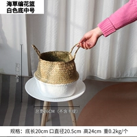 Seago -Redited Clork Bask