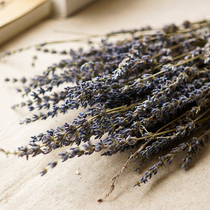 Lavender dried flower flowers dry bouquet Clubhouse SPA home decoration flower decoration art dried flower shooting props