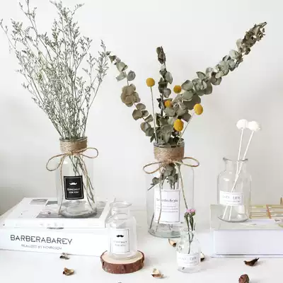 ins style simple hydroponic transparent small glass vase table flower arrangement Nordic style home decoration ornaments
