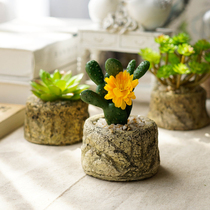 Pastoral simulation succulent plant potted ornaments creative plant simulation flower fake flower green plant bonsai home accessories