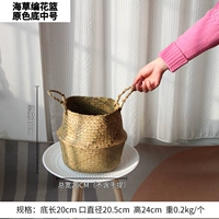 Флаучная корзина морских водорослей Основное цветное секс