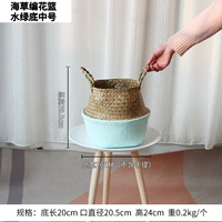 Морские водоросли цветочная корзина с зеленым дном среды