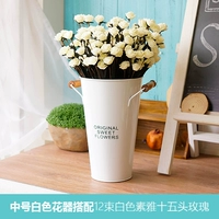 Середина -NO. BAI +12 BAI SUYA ROSE