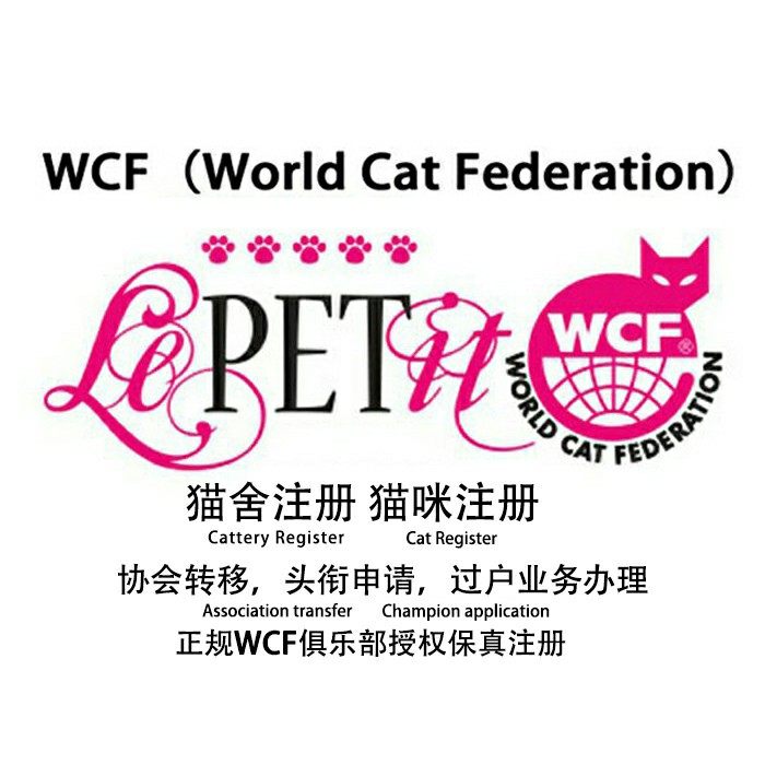WCF Cat House Registration WCF Pedigree Certificate WCF Certificate Five Generations Pedigree Registration Gold Point Silver Dot Short-legged Cat