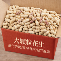 New original cooked peanuts 500g with shell peanuts fried goods under the red skin nuts dried fruit snacks wholesale