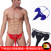 Male sex panties Mens special temptation panties sexy temptation elephant jj cover thong t pants tease