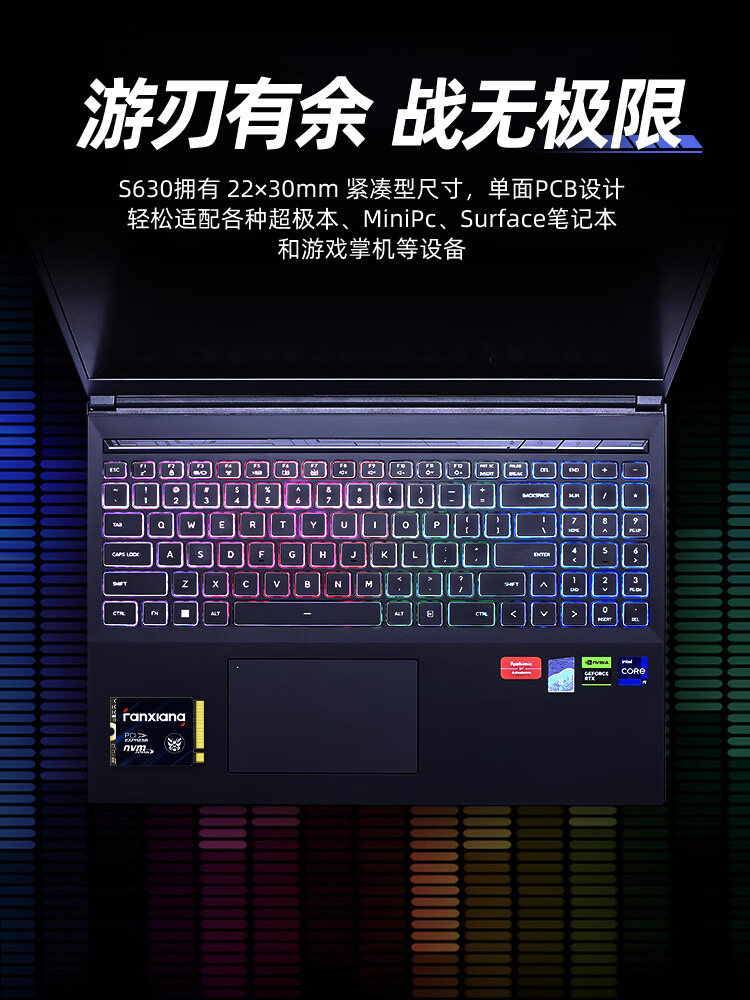 Fanxiang S630M2 Interface 2230 Solid-State Drive 1Tb Nvme Protocol Pcie4.0 Steamdeck Handheld Expansion