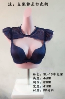 Pink SL-10 (с кронштейном)