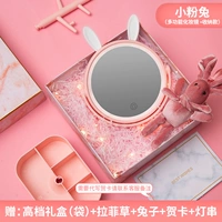 Little Pink Rabbit+Storage+Win -Pole Lighting+роскошная подарочная коробка+