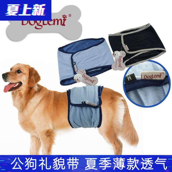 Public Puppy Physiological Pants Summer Medium Dog Labrador Belt Farfight Courtesy with male dog Anti-mating theorizer