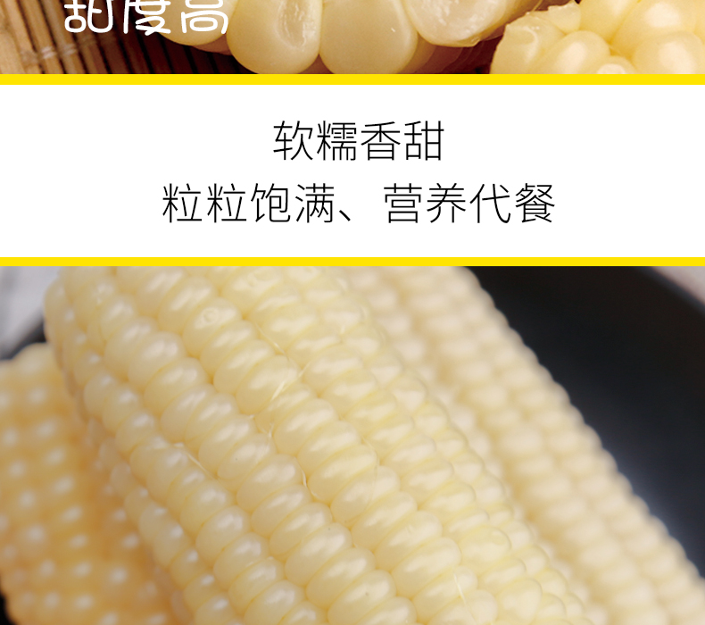 寒地黑土 东北新鲜糯甜玉米 六只 图6