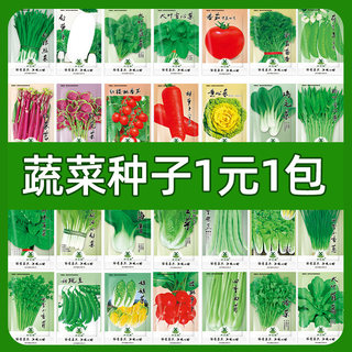 Vegetable seeds potted balcony green plants indoor and outdoor four seasons farm tomato white radish raw spinach green fragrant leek seeds