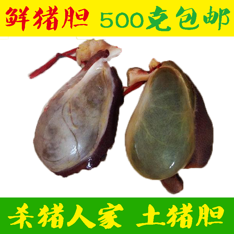 (Fresh Pig Bile 500 gr) Pig House Fresh Pig Bile Pig's bitter bile water The whole pig bile ice bag