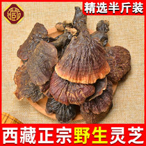 Tibetan Wild Purple Lingzhi Red Lingzhi Wild Lingzhi Dry Goods Purple Lingzhi Rinzhi wild flat cover Lucid Lingzhi box clothes