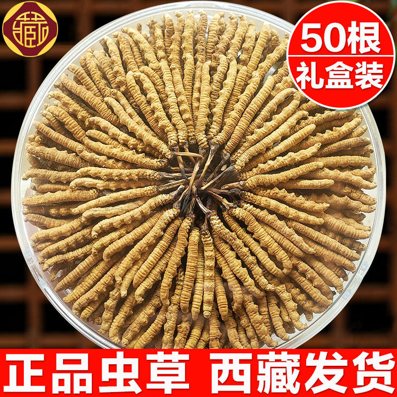 Winter - worm summer flagship store Tibet, the dry worm - grass delivery gift
