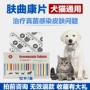 Đinh Jian Kui Kang Máy tính bảng Yiqu Dog Cat Fungus Vi khuẩn Chó Chó Sự rụng lông Chó Meerkats Stungborn Fungi - Cat / Dog Medical Supplies súng tiêm thuốc