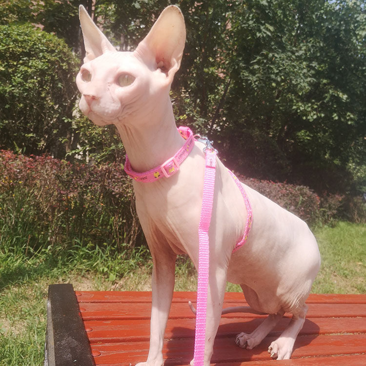 Cat leash out walking cat rope cat chain anti-break leash leash