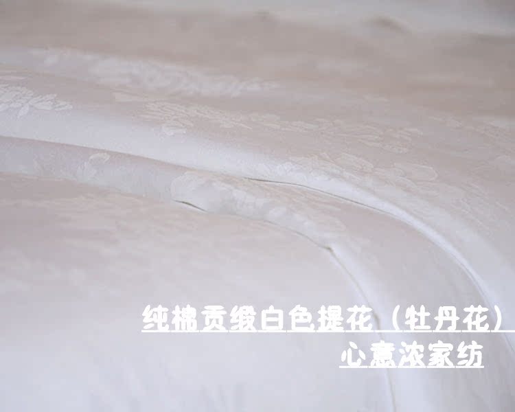 Mật độ cao bông satin sọc đặt tâm trí tập trung chăn mật độ dệt jacquard chi phí đặt quảng cáo - Quilt Covers giá chăn điện hàn quốc