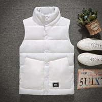 Vest nam mùa thu đông xuống cotton đôi phiên bản xã hội Hàn Quốc của áo thun dáng đứng cổ áo lưới đỏ với áo khoác gió phong cách Hồng Kông áo sweater nam