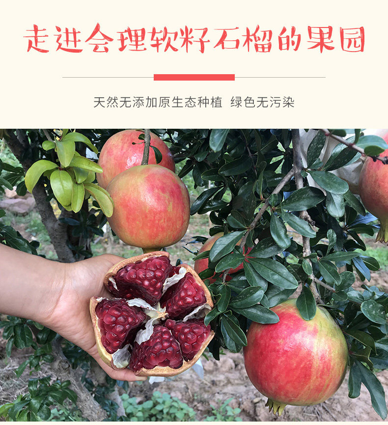 伍官邨 突尼斯软籽石榴 净重8斤 约10个 4.9高评 图6
