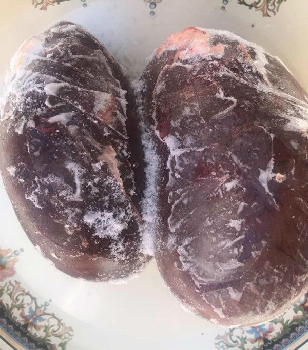 Inner Mongolia grassland livestock camel kidney camel kidney