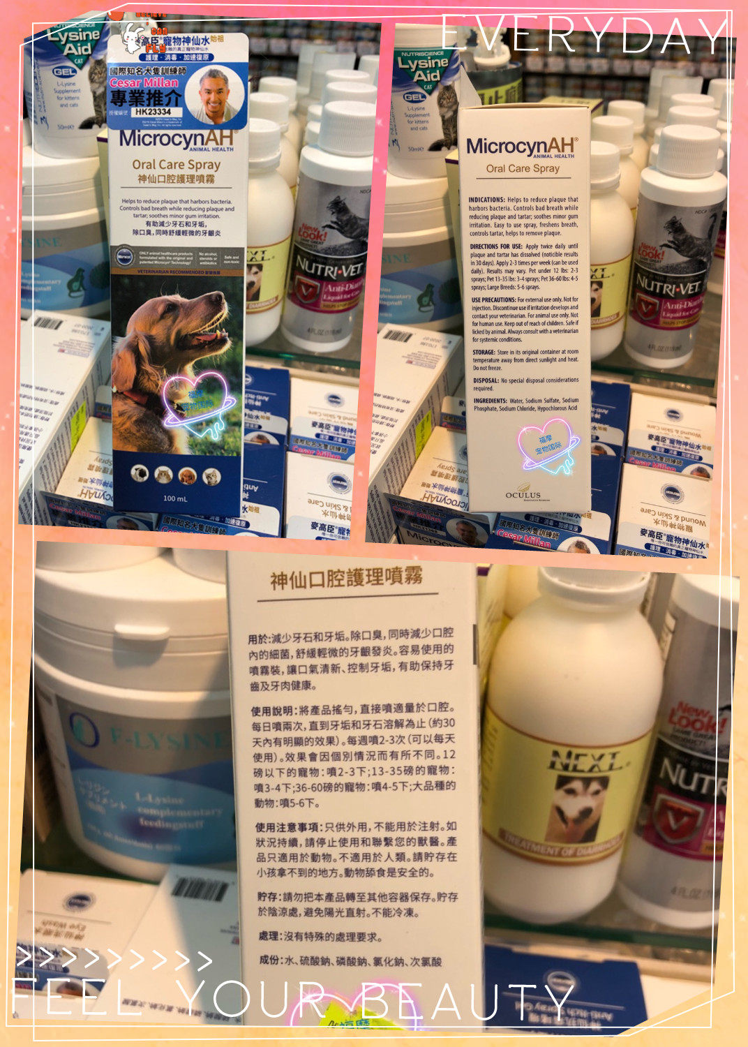 Hong Kong Buy American Artemisia Divine Dog Cat Oral Care Spray Except the Tooth Scale with Global Line Coding