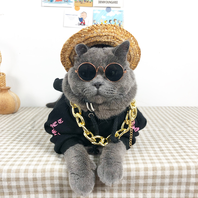 Net Red Cat Blue Cat Glasses Sunglasses Grass Hat Pet Headwear Gold Chain Collar Necklace Jewelry Photo Props Trendy