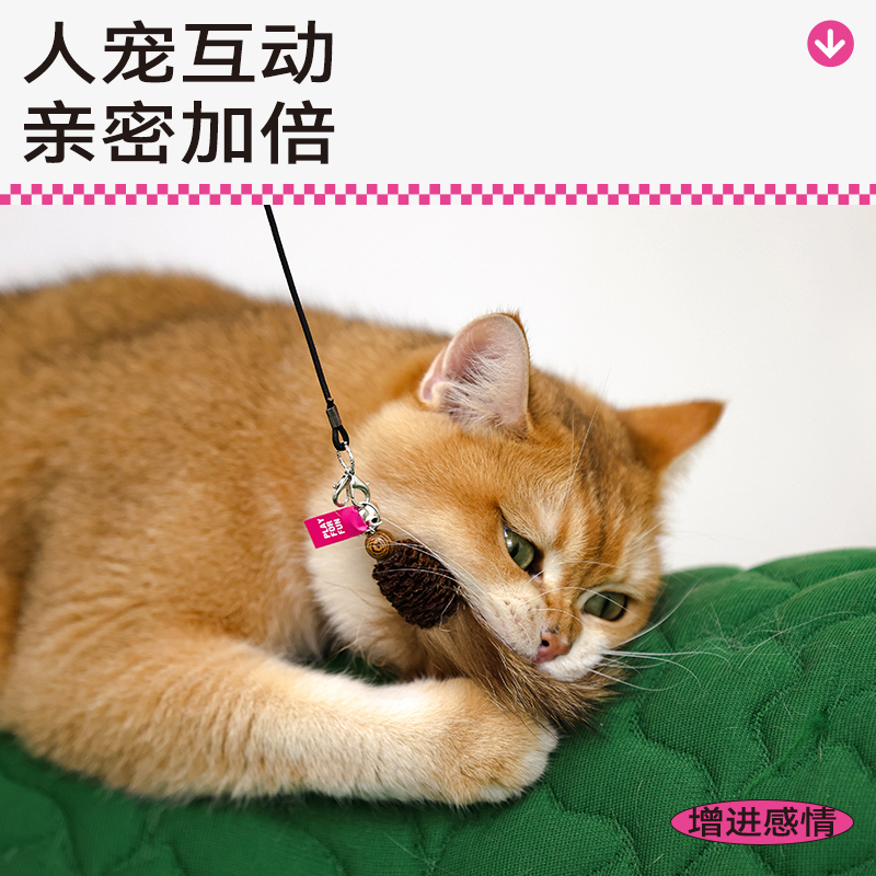 Qmonster Cat Genuine Fur Teaser Wand Replacement Head Cat Toy for Entertainment, Self-Entertainment, Boredom Relief, Teeth Grinding, and Scent Sniffing