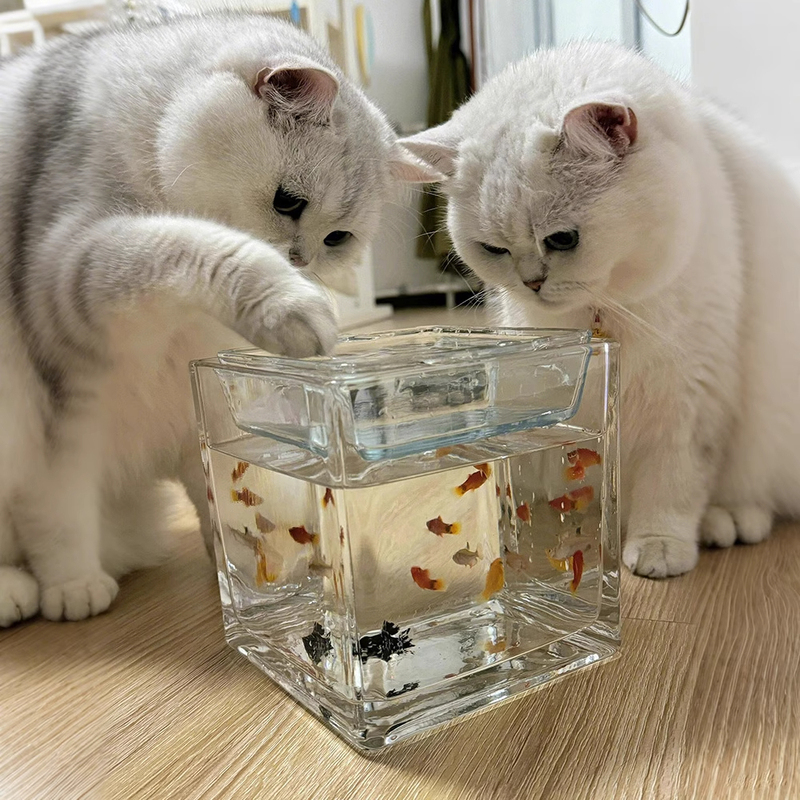 Cat Aquarium Water Dispenser, Cat Water Bowl, Water Dispenser Gadget, Tv Aquarium Cat Water Dispenser Cat Aquarium Water Dispenser, Cat Water Bowl, Water Dispenser Gadget, Tv Aquarium Cat Water Dispenser