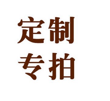 定制商品专拍 定制商品