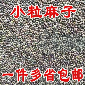 ມາໃຫມ່ຂອງ pockmark 2025 ນົກອາຫານເມັດຂະຫນາດນ້ອຍ pockmark ເຕັມ hemp ເມັດ parrot ນົກອາຫານອາຫານ hamster ກະຮອກອາຫານ