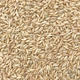 ມາໃຫມ່ oats kernel 5 pounds free shipping bird food black gold sun peony phoenix feed oats rice brome bird food