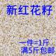 ເມັດ Saffron, parrot grain, hamster bird food, ອາຫານນົກ, ອາຫານ pigeon, ເມັດ melon ສີຂາວ, ເມັດ safflower 5 ປອນ, ສົ່ງຟຣີ