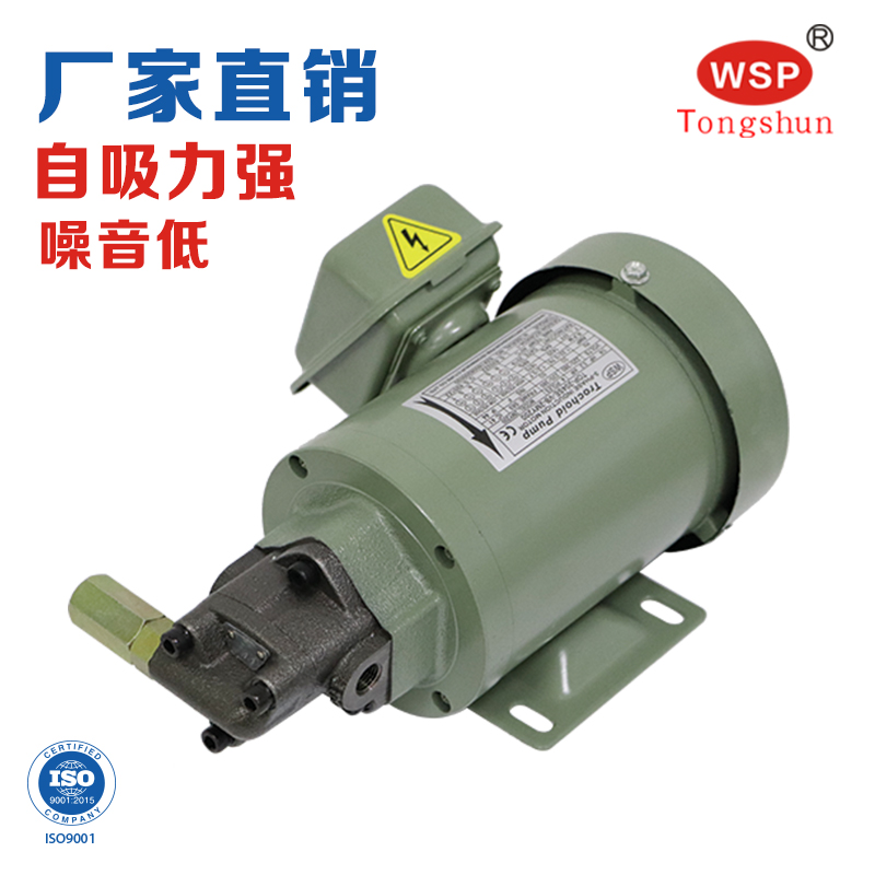 Gear Pump Top-12A13A Cycloidal Pump Triangle Oil Pump Motor 1 4hp Motor Hydraulic Oil Pump Oil Pump