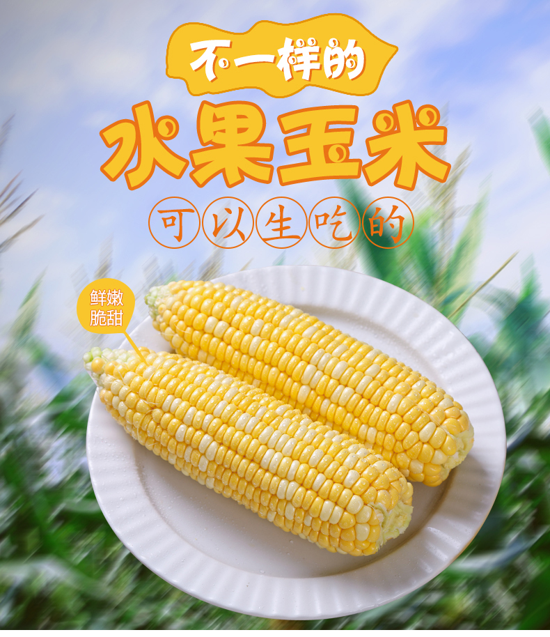 云南新鲜水果玉米包邮带箱10斤