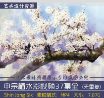 South Koreas Shen Zongzhi realistic watercolor painting tutorial still life flower watercolor technique hand-painted self-study material