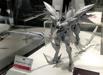 (Mad Mod) one thousand Value to practice RIOBOT Cosmic Rider Super Ibi Road Evolution Aichon First