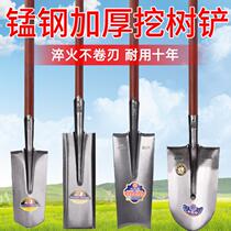 Xinjiang German German shovel household manganese steel outdoor tree digging special shovel stainless steel wooden handle high-end thickening